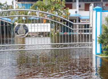 การประชุมติดตาม ... พารามิเตอร์รูปภาพ 11